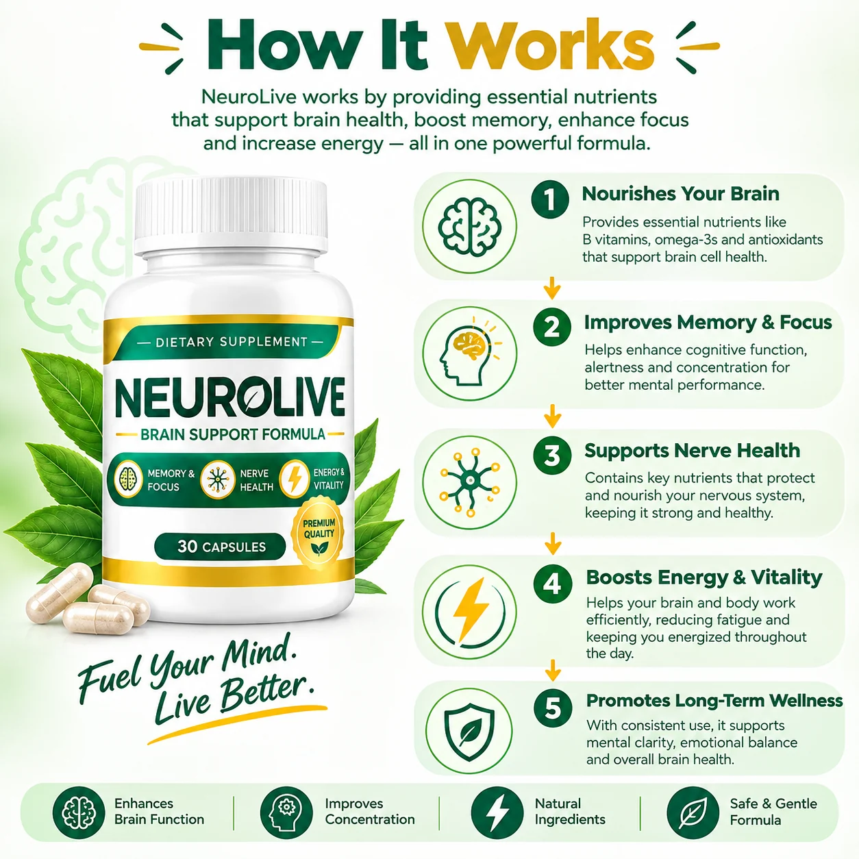 How NeuroLive works — nourishes your brain, improves memory and focus, supports nerve health, boosts energy and vitality, promotes long-term wellness